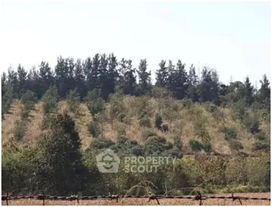 image_rental-28759202