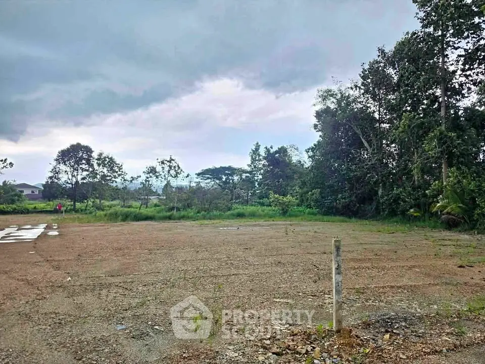 Spacious vacant land plot surrounded by lush greenery, ideal for development opportunities.