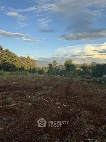 Expansive land with lush greenery and open sky, perfect for development opportunities.