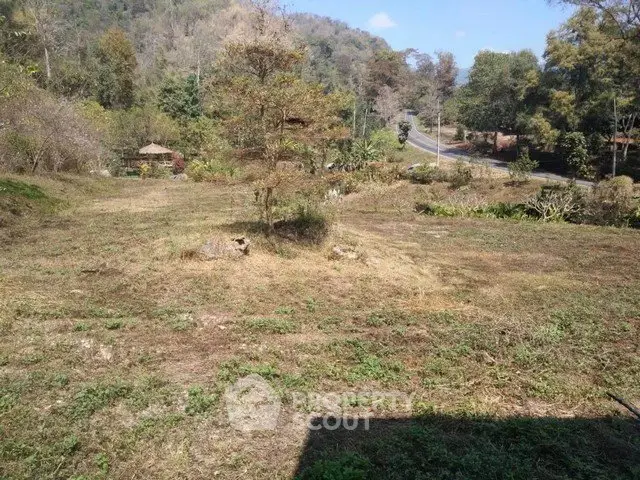Expansive land plot with lush greenery and scenic road view, ideal for development or investment.