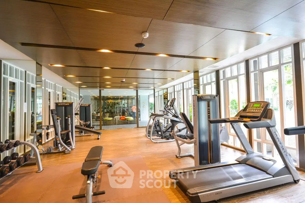 Modern gym with state-of-the-art fitness equipment and large windows for natural light.