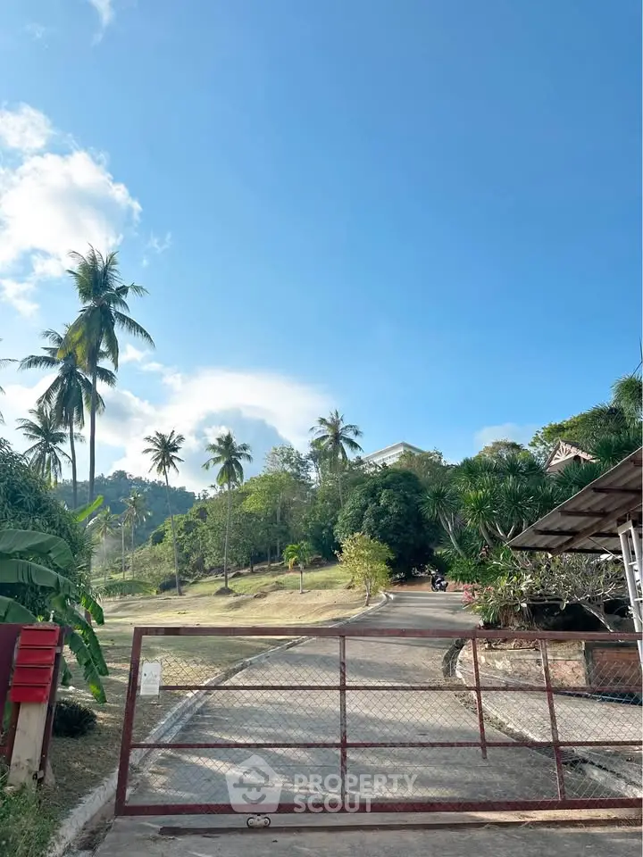 Scenic driveway entrance with lush greenery and palm trees under a clear blue sky.