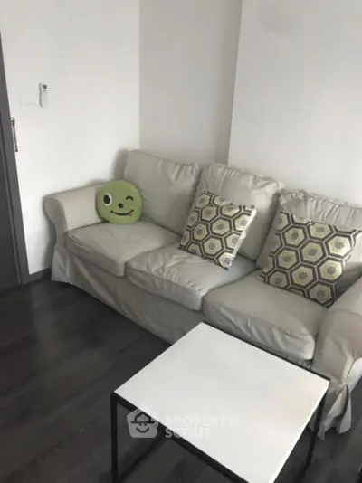 Cozy living room with modern sofa and decorative pillows