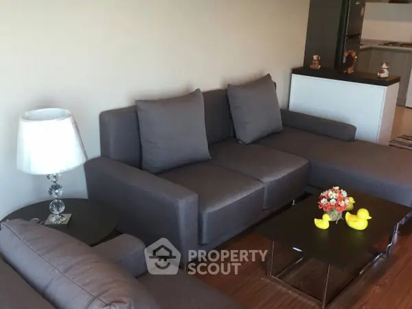 image_rental-30769775