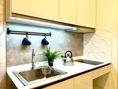 Modern kitchen with sleek design, induction cooktop, and stylish cabinetry.