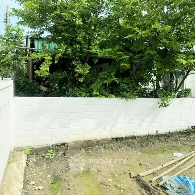 Vacant land with white wall and lush greenery, ideal for development.