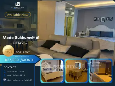 image_rental-26752456