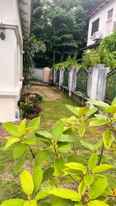 Charming garden view beside a residential house with lush greenery and a rustic fence.