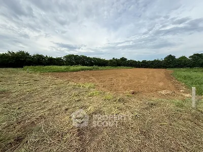 Expansive plot of land with lush greenery, perfect for development or agriculture.
