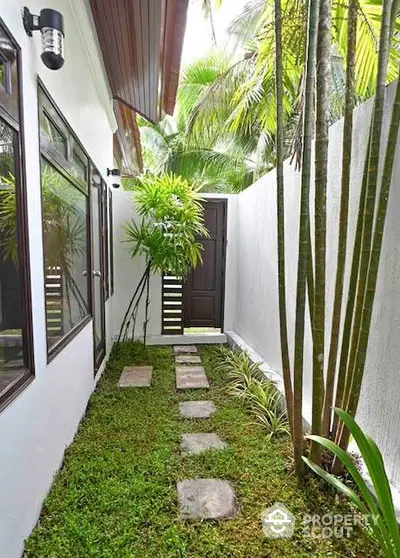 Charming narrow garden path with lush greenery and modern design