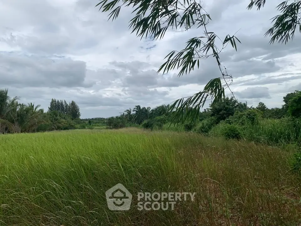 Expansive green field with lush vegetation, perfect for development or agricultural investment.