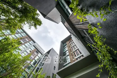 image_rental-30839596