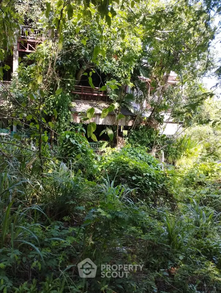 Explore this lush, overgrown property with potential for renovation amidst nature's embrace.