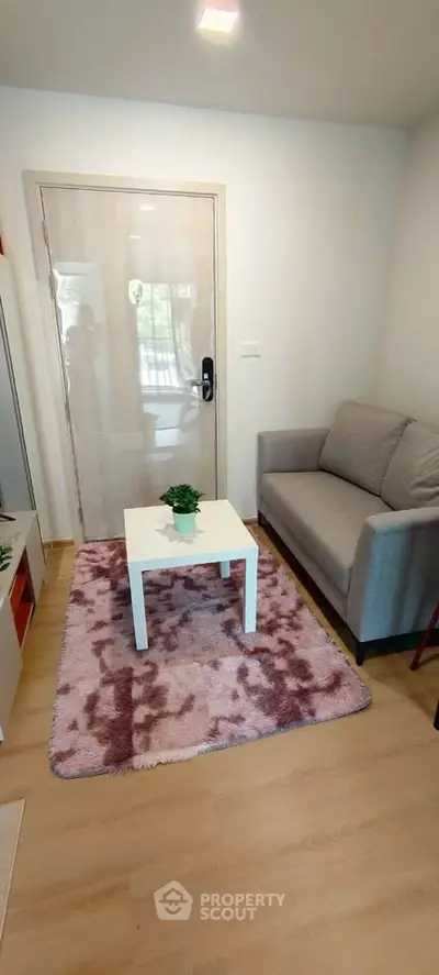 Cozy living room with modern sofa and stylish decor in a compact space.