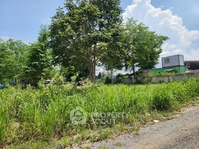 Spacious vacant land with lush greenery, perfect for development opportunities.