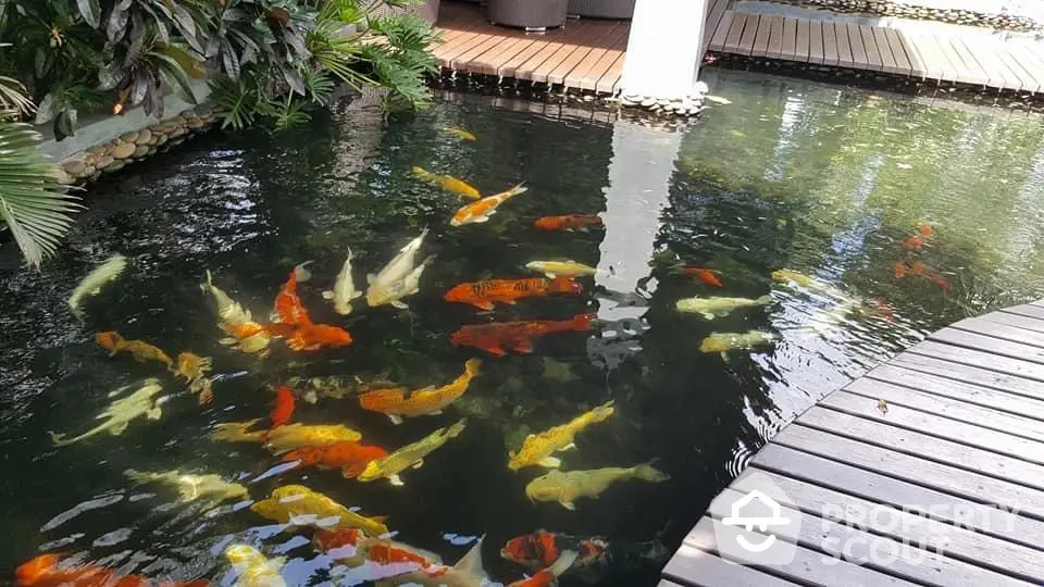 Stunning koi pond with vibrant fish in a serene garden setting