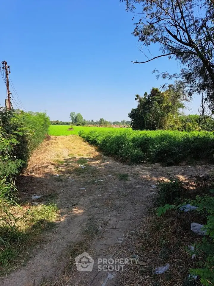 Scenic view of lush green farmland under a clear blue sky, perfect for agricultural investment.