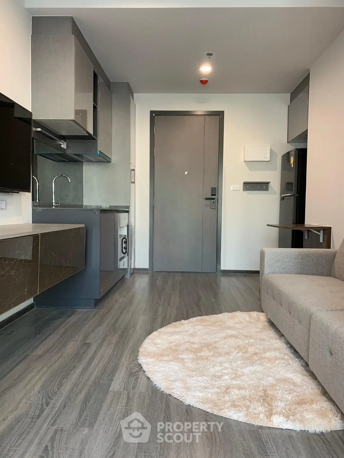 Modern apartment interior with sleek kitchen and cozy living area featuring a plush rug and stylish sofa.