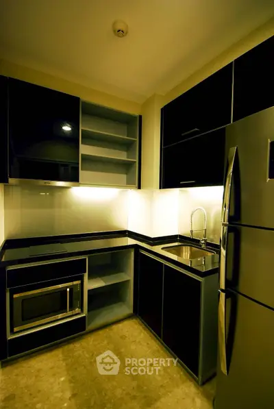 Modern kitchen with sleek black cabinets and stainless steel appliances