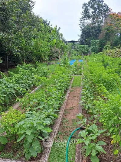 Lush garden with vibrant greenery and well-maintained pathways, perfect for nature lovers seeking tranquility.