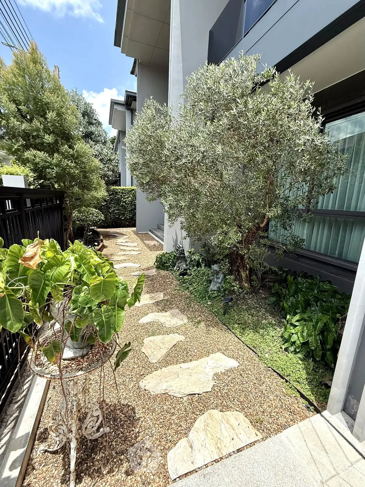 Charming garden pathway with lush greenery and modern building exterior