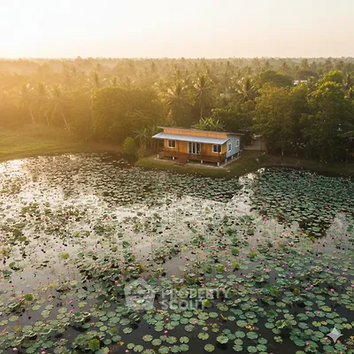 Charming lakeside house surrounded by lush greenery and serene water lilies at sunset.