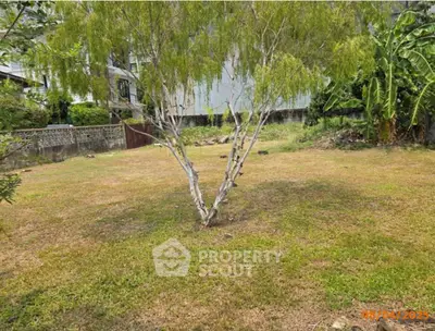 image_rental-31137833