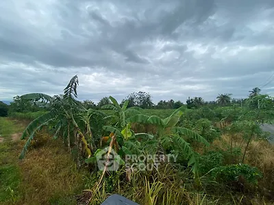 Expansive land with lush greenery under a cloudy sky, ideal for development opportunities.