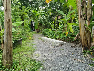 Lush garden pathway with tropical plants and gravel walkway