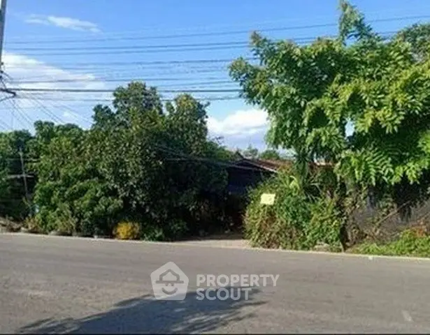 Spacious plot of land with lush greenery and road access, ideal for development.