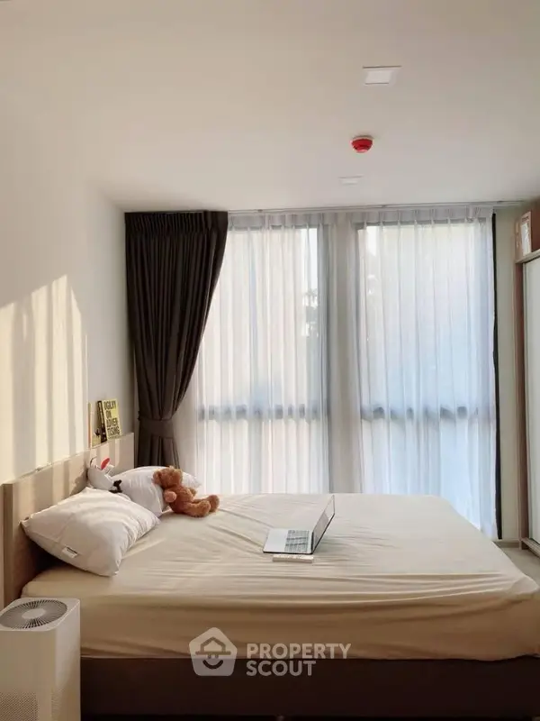 image_rental-20088486