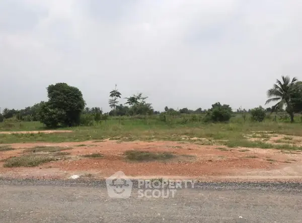 image_rental-31084766