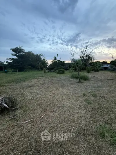 Expansive vacant land with lush greenery, perfect for development or investment opportunities.