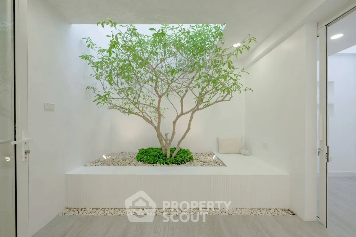 Elegant indoor garden with a tree in a minimalist white room, perfect for modern homes.