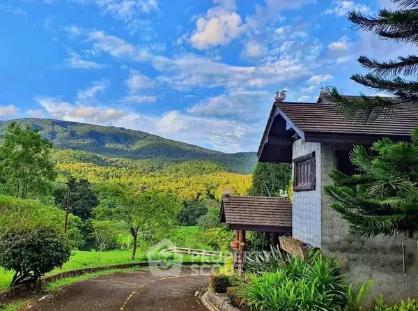 image_rental-26371256