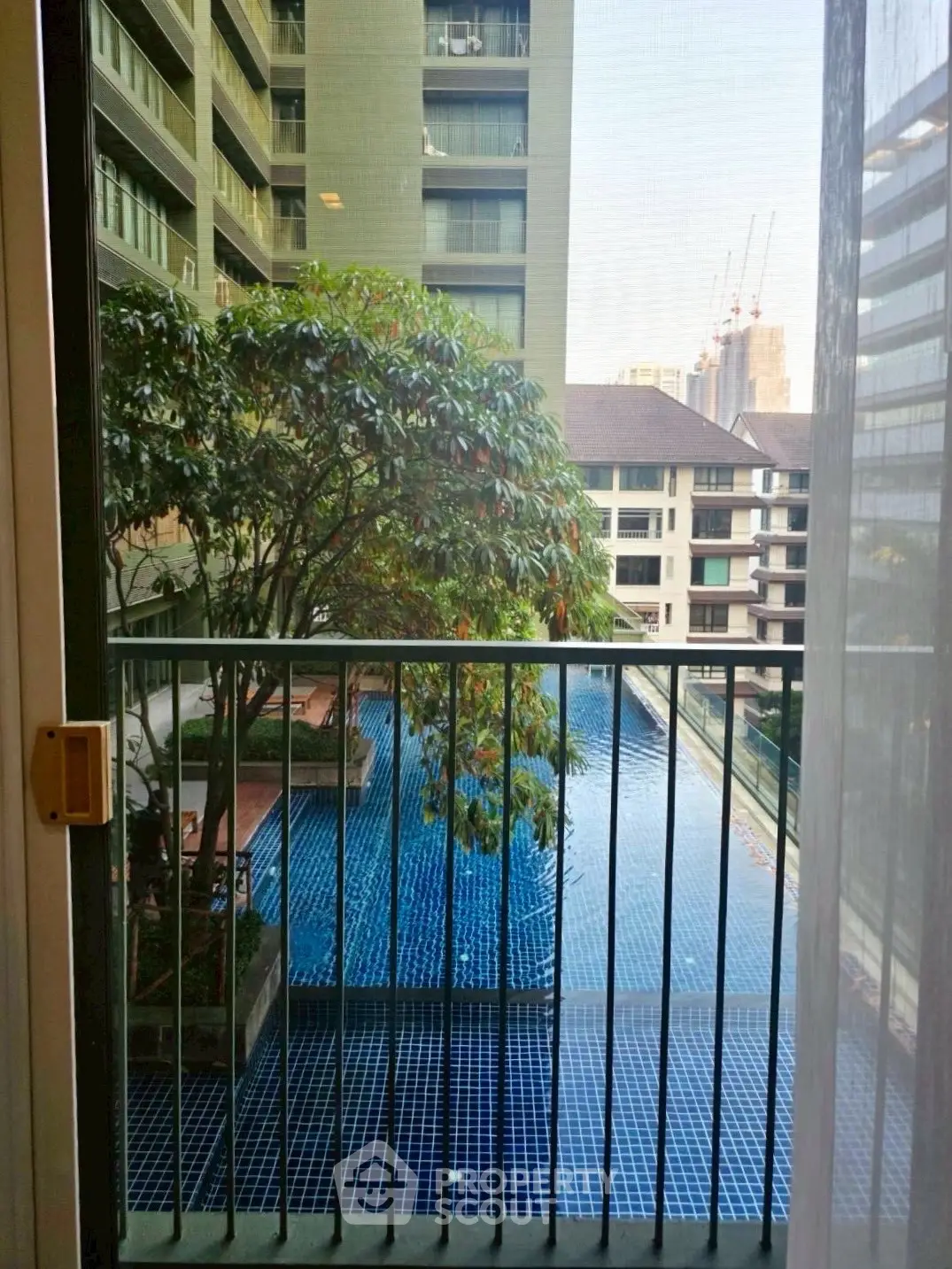 Stunning view of a modern residential pool from a balcony, surrounded by lush greenery and urban architecture.