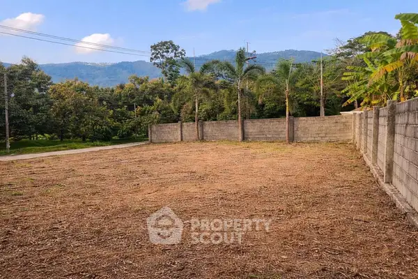 image_rental-31525598