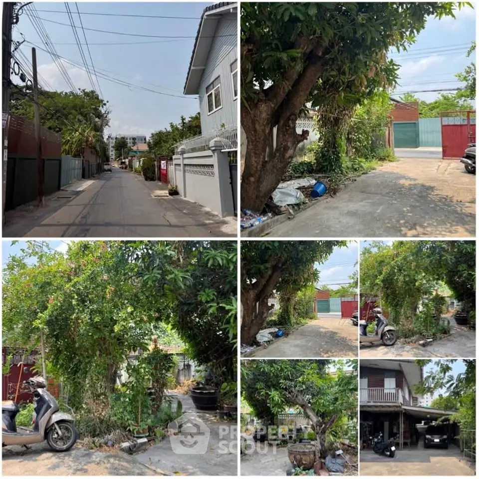 Charming residential street with lush greenery and spacious outdoor area, perfect for serene living.