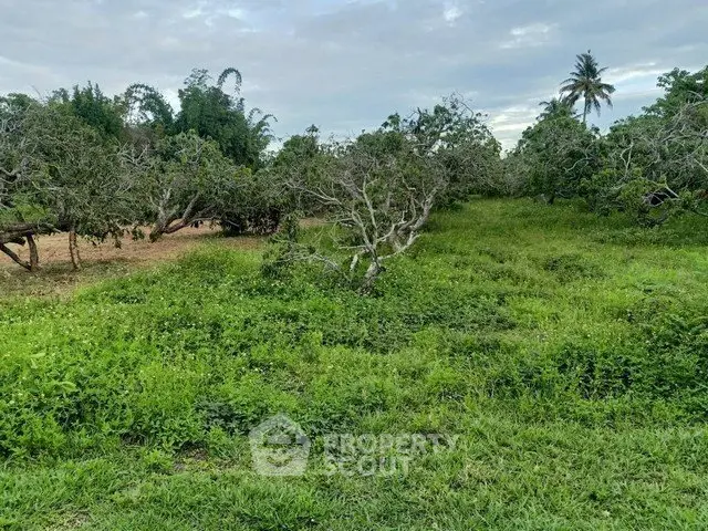 Expansive lush green land with mature trees, perfect for development or agriculture.