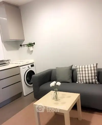 Cozy living room with modern sofa and washing machine in compact apartment