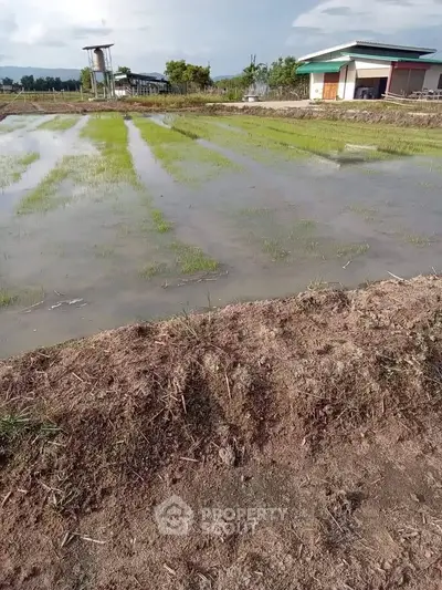 Scenic view of a rural property with lush green fields and a small building, perfect for agricultural ventures.