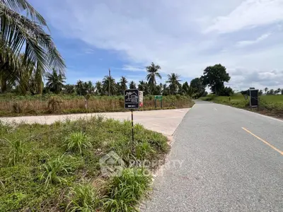 Scenic rural road with lush greenery and palm trees, ideal for real estate development.