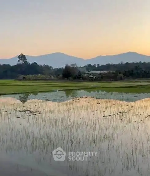 image_rental-27903794