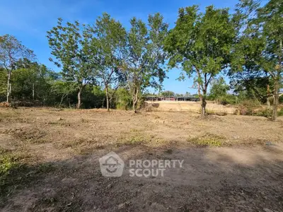 Spacious vacant land with lush trees, perfect for development opportunities.