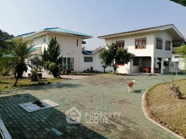 image_rental-14819295