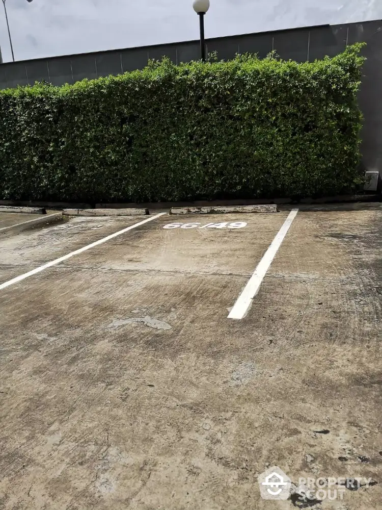 Spacious parking area with lush green hedge and clear markings