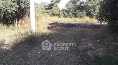 Vacant land plot with lush greenery and road access, ideal for development.