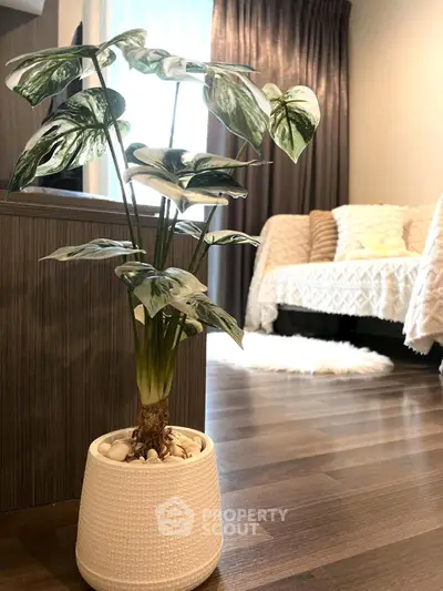 Stylish living room with elegant decor and potted plant on wooden floor