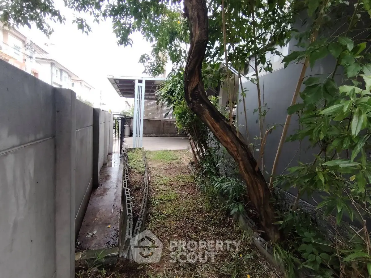 Charming garden area with lush greenery and a unique tree, perfect for outdoor relaxation.