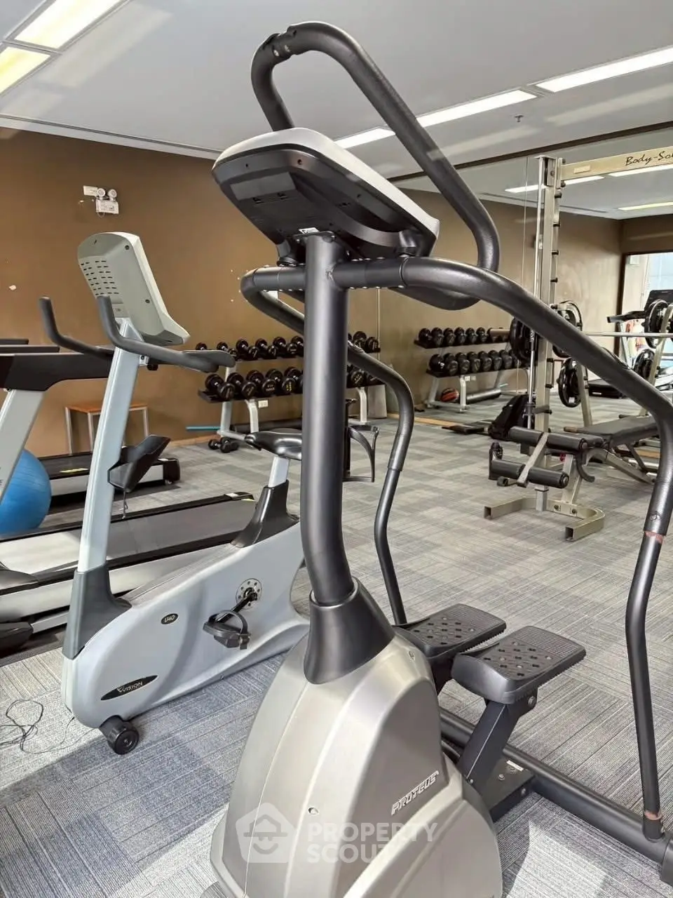 Modern gym with state-of-the-art fitness equipment and weights for a complete workout experience.